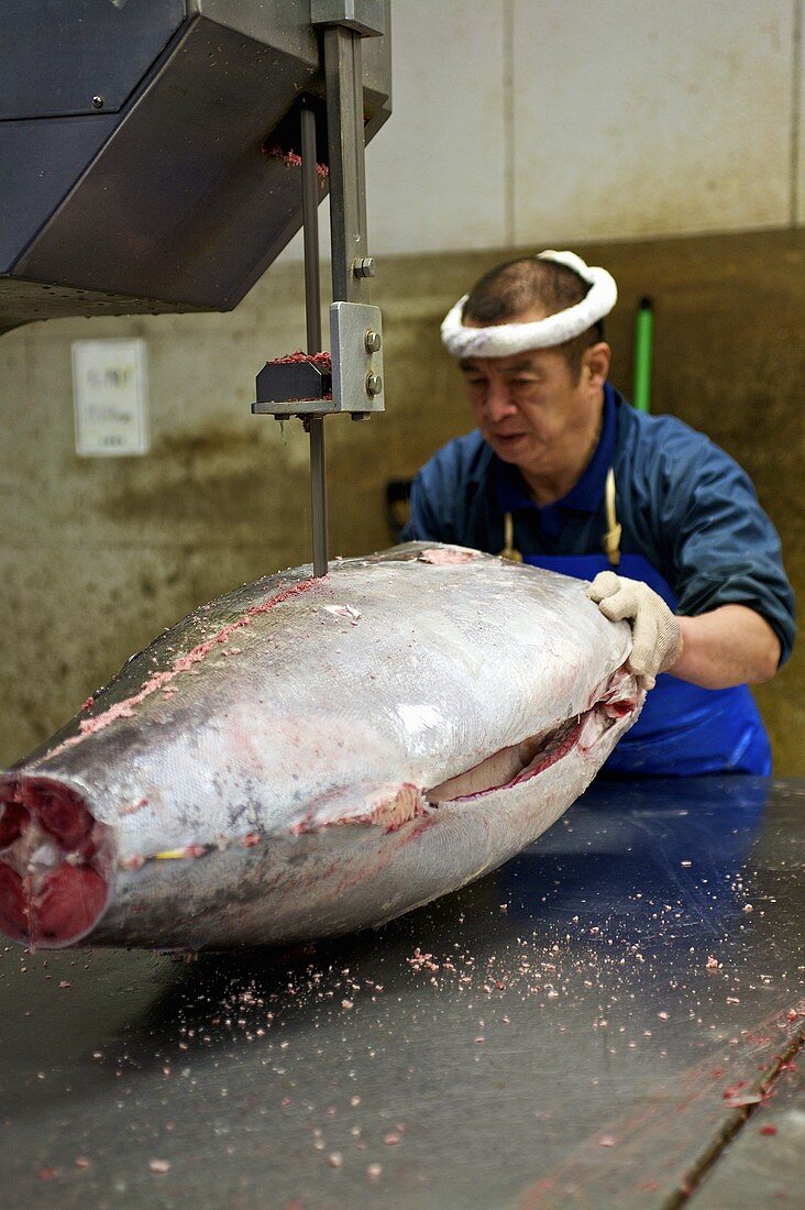 Mann schneidet Thunfisch mit Säge am Tsukiji-Fischmarkt in Tokio