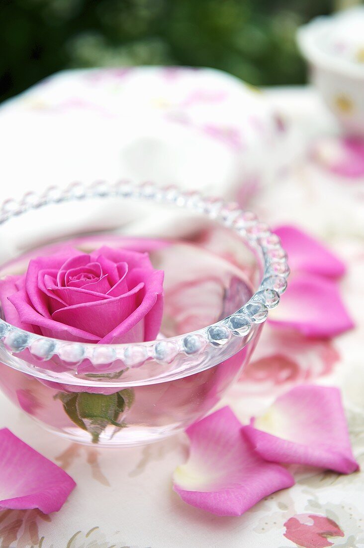 Pink rose in bowl of water on garden table