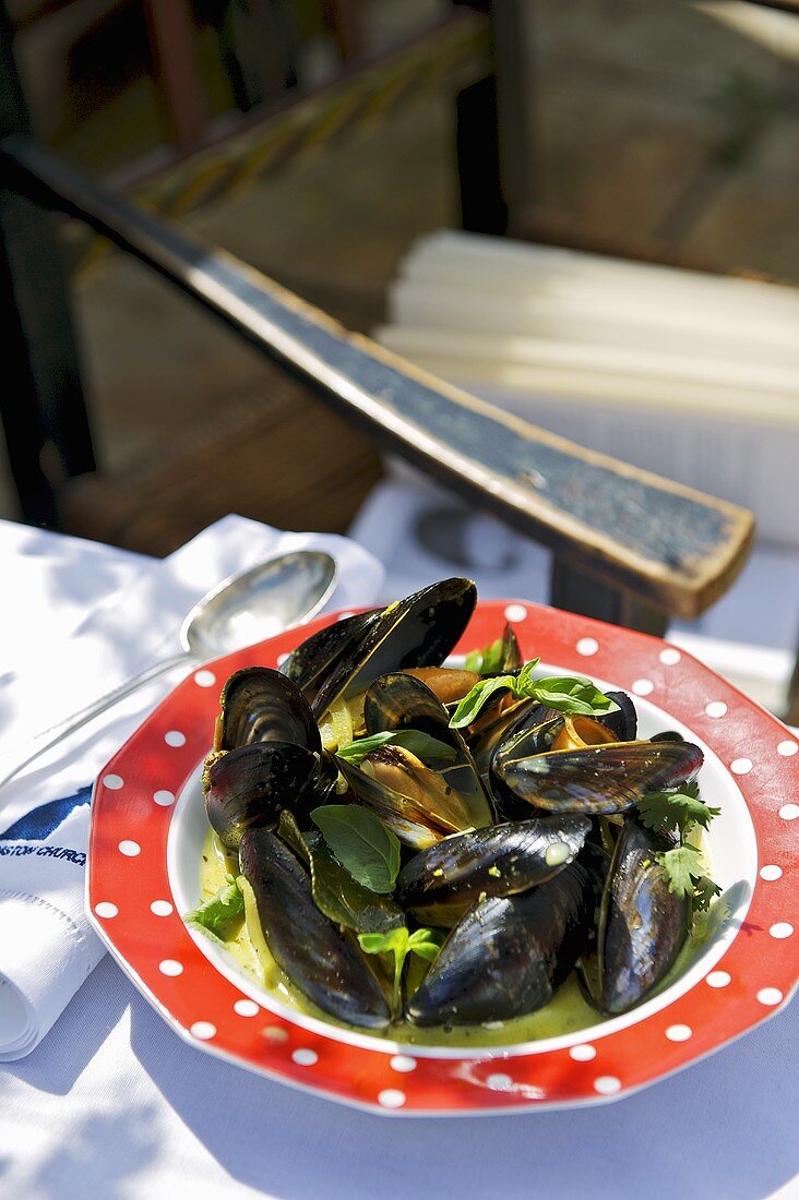 Mussels with curry sauce