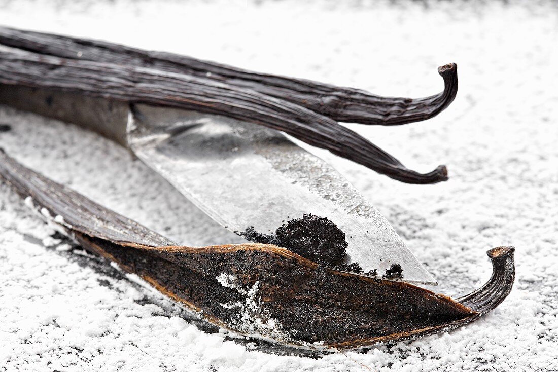 Vanilla pods with vanilla seeds on icing sugar