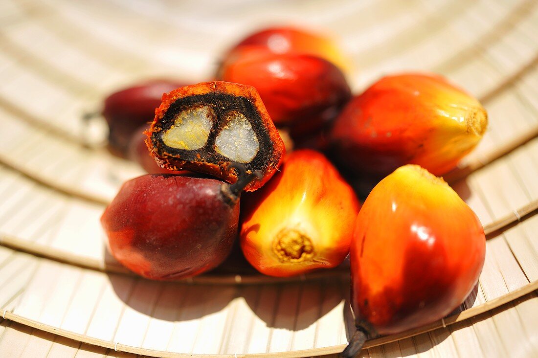 Fruit of the oil palm (Thailand)