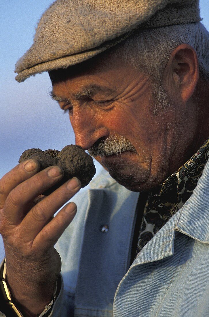 Mann riecht an frischer Trüffel (Frankreich)