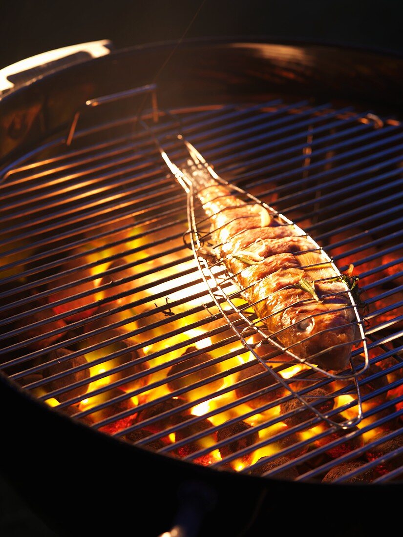 Red mullet on barbecue