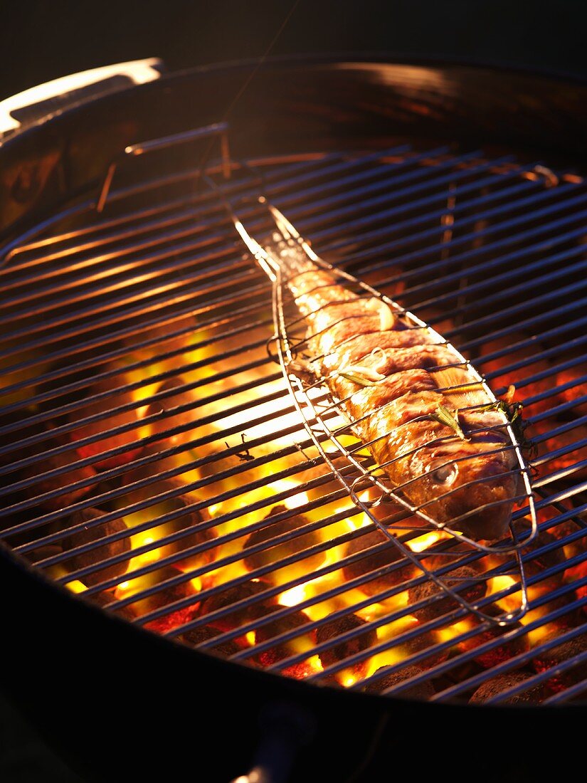 Rotbarbe auf dem Grill