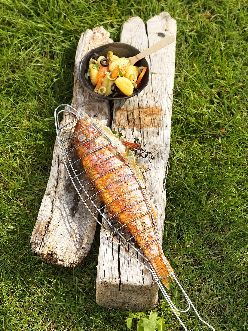 Barbecued red mullet with olive gnocchi