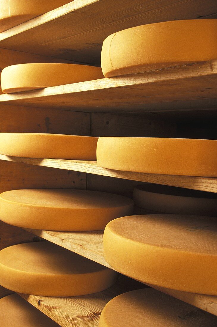 Cheese wheels (Comte) on wooden shelves