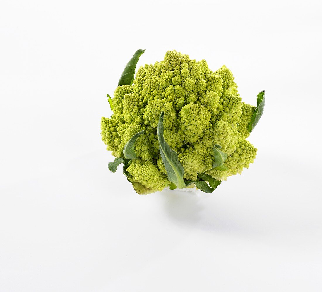 Romanesco Broccoli on White Background