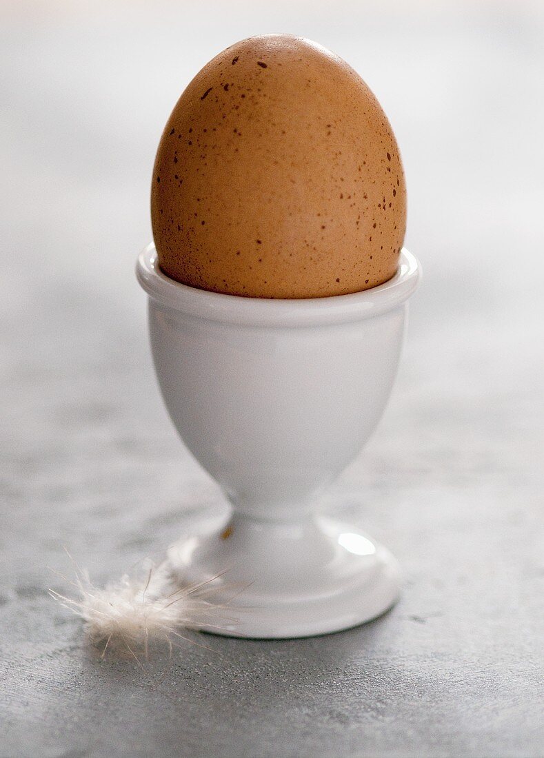 A Brown Egg in an Egg Cup