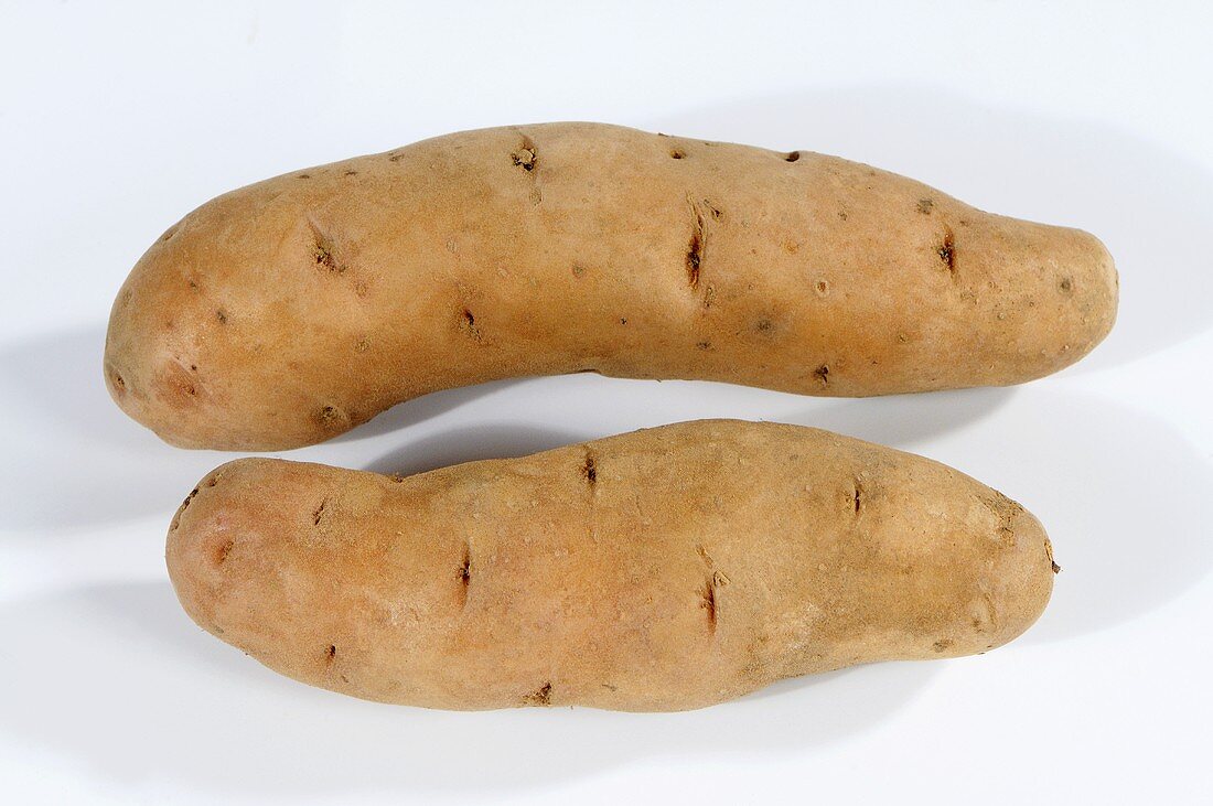 Two potatoes (variety 'Bamberger Hörnchen')