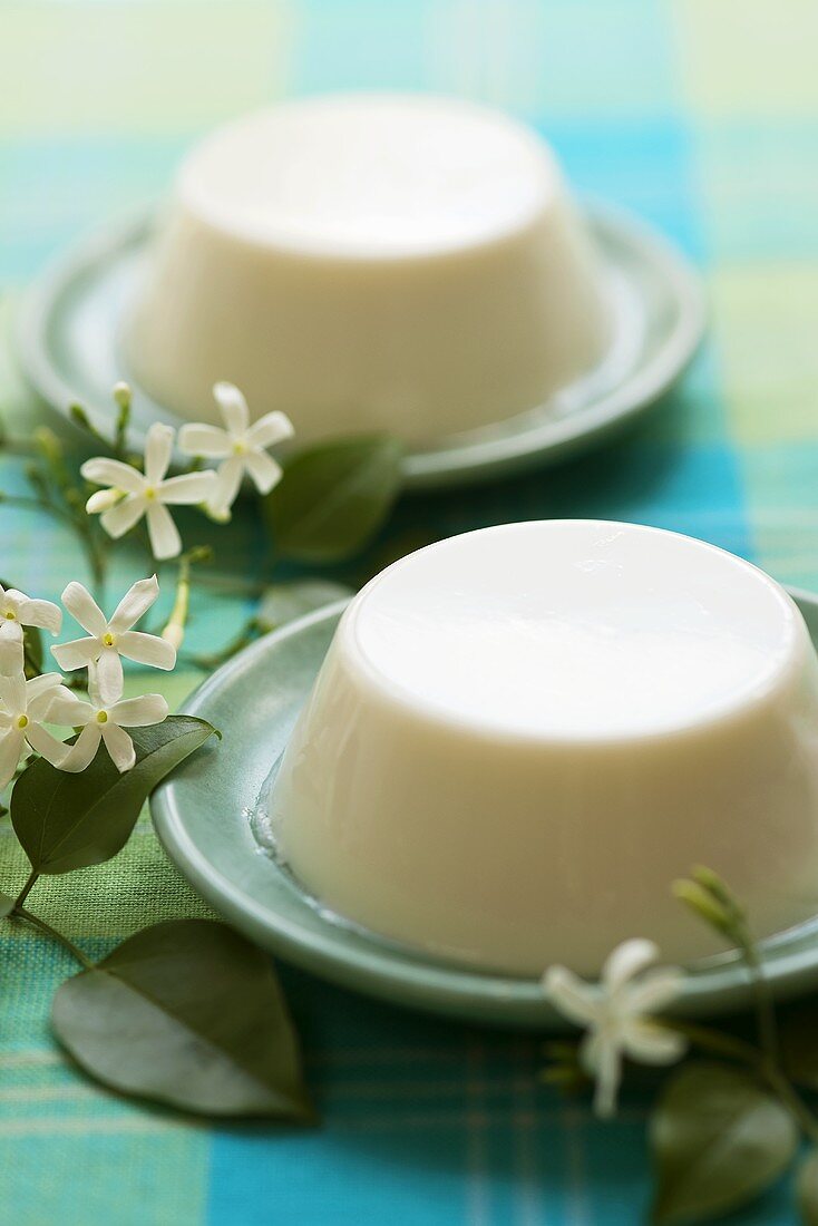 Jasmine panna cotta with jasmine flowers