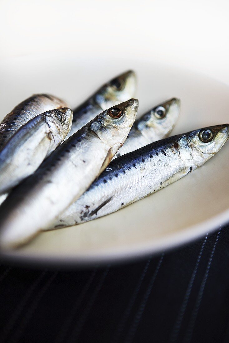 Fresh sardines on plate