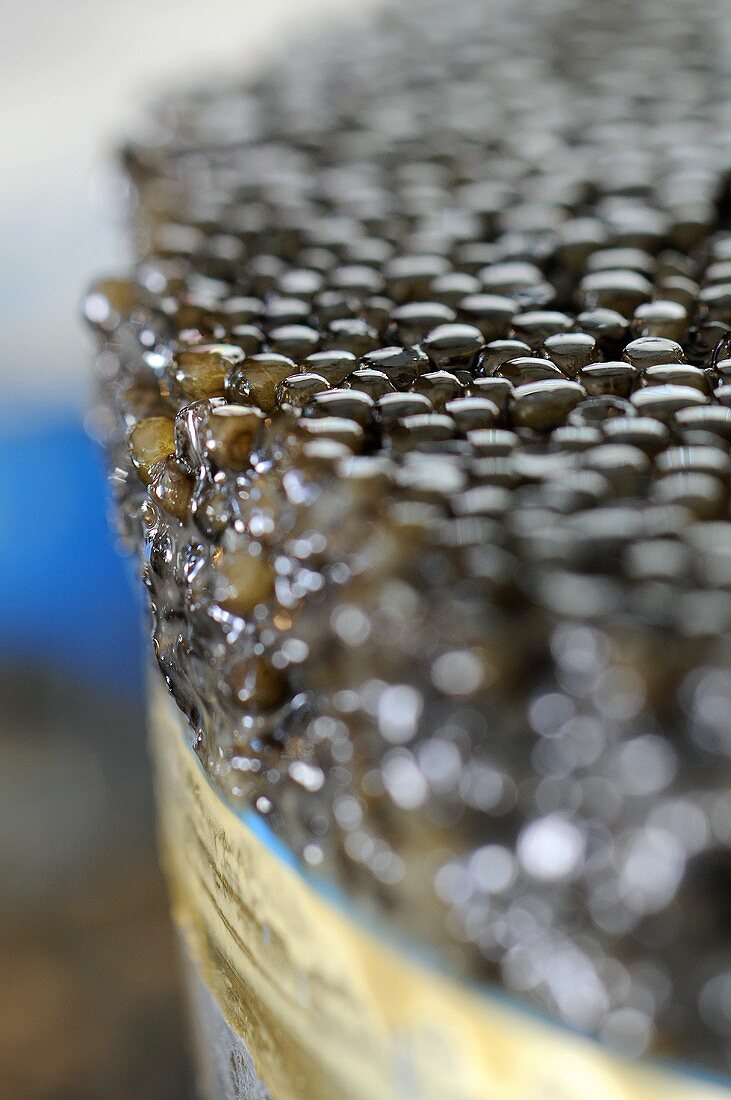 Black caviar in tin (close-up)