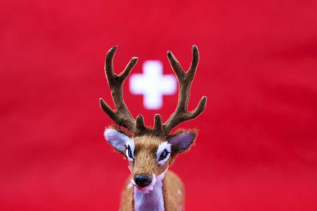 Ein Modell-Hirsch mit dem weissen Kreuz der Schweiz zwischen dem Geweih