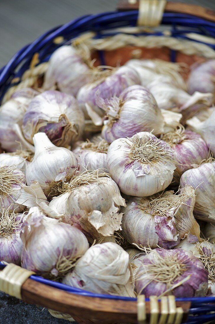 Viele Knoblauchknollen im Korb