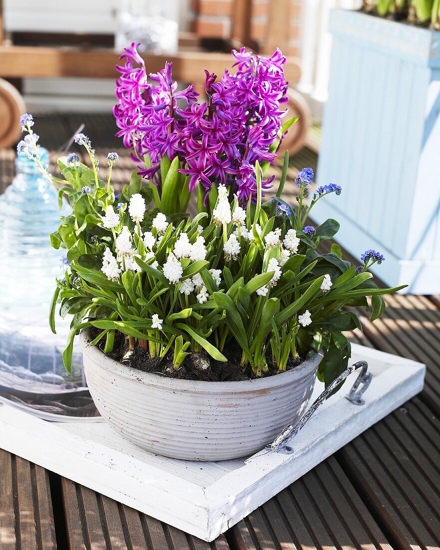 Spring flowers in bowl