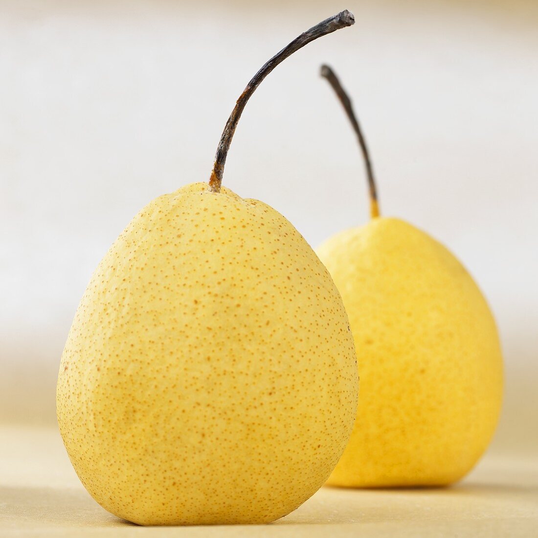 Two nashi pears (Pyrus pyrifolia)