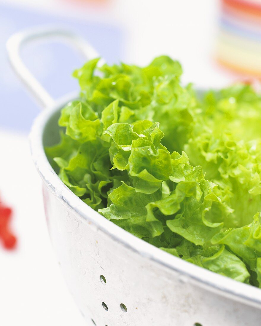 Lettuce in a metal colander