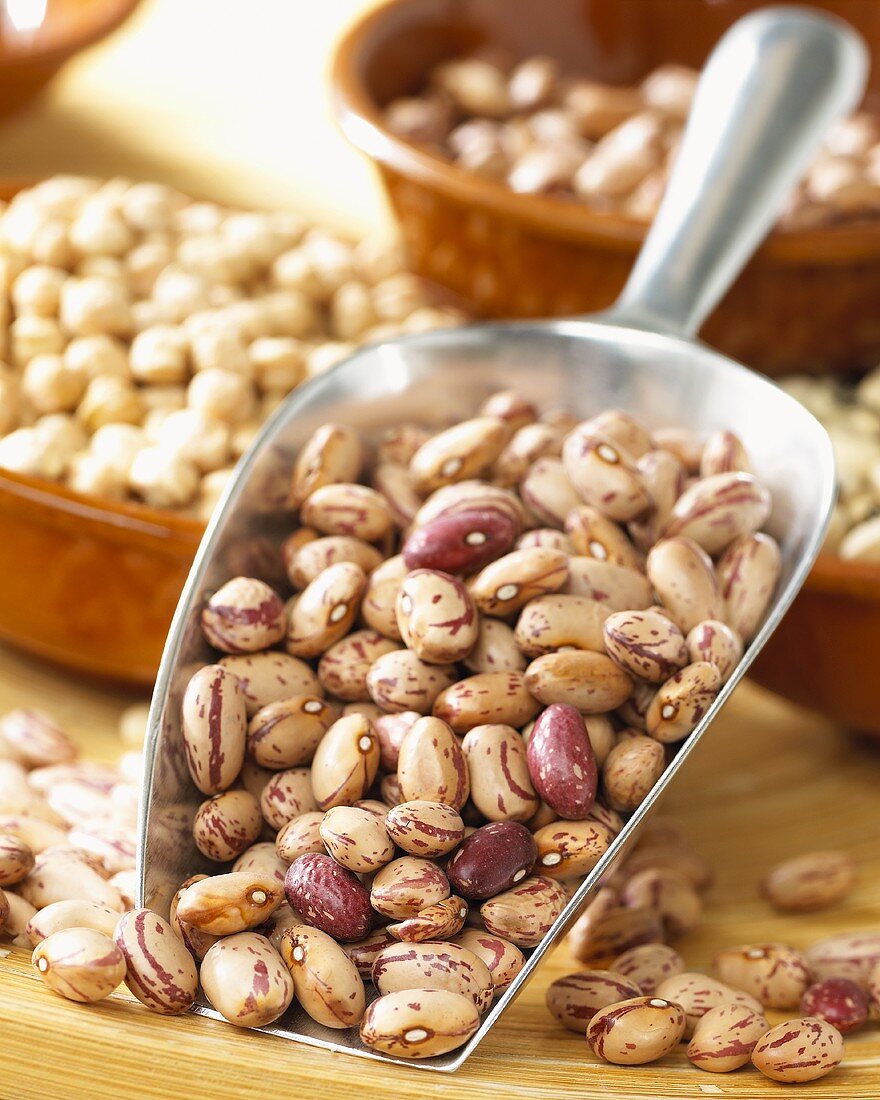 Pinto beans in metal scoop