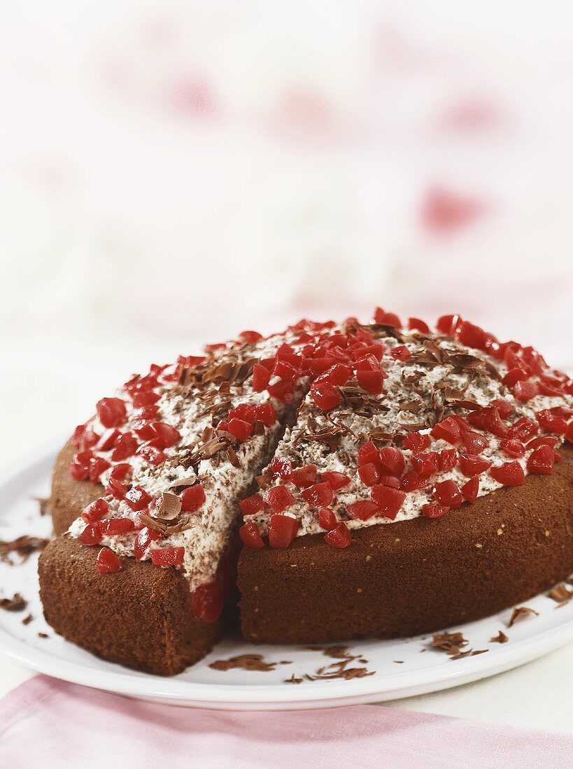 Prinz Eugen torte (chocolate cake with Morello cherries)