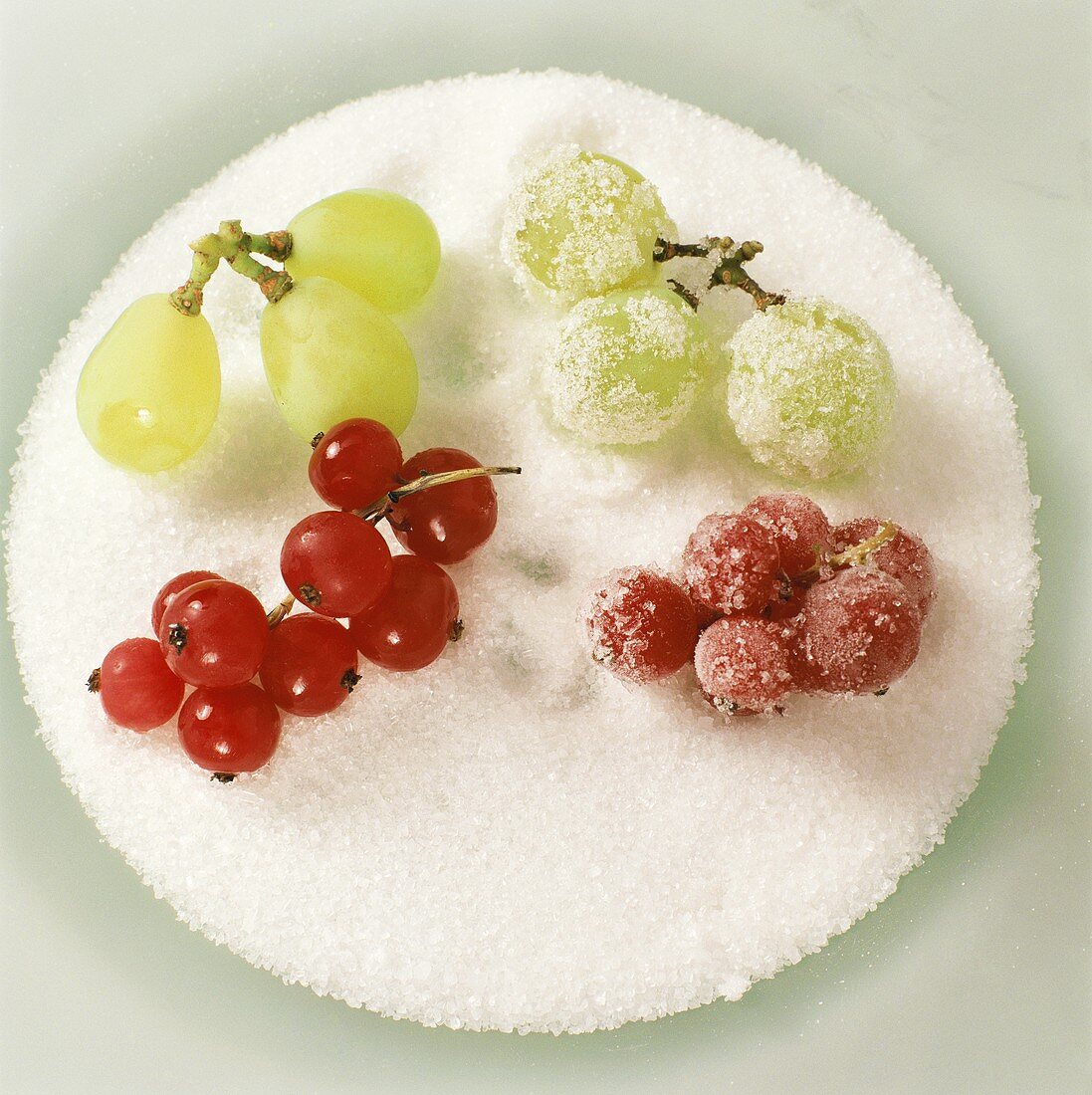 Geeiste Früchte in Zucker wälzen (Tortenverzierung)