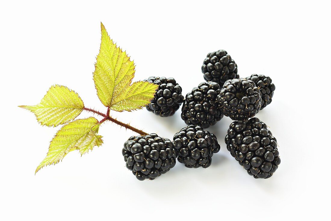 Brombeeren mit Blatt