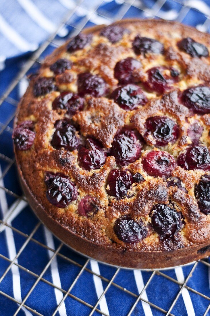 Cherry cake on cake rack