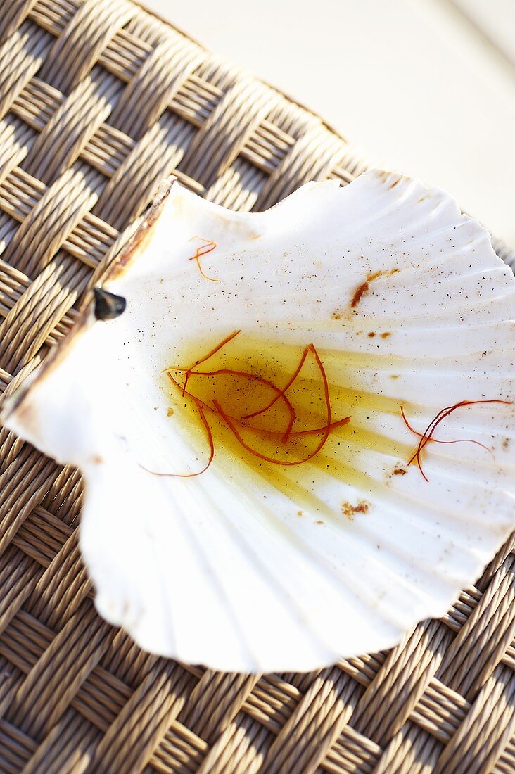 An empty scallop shell