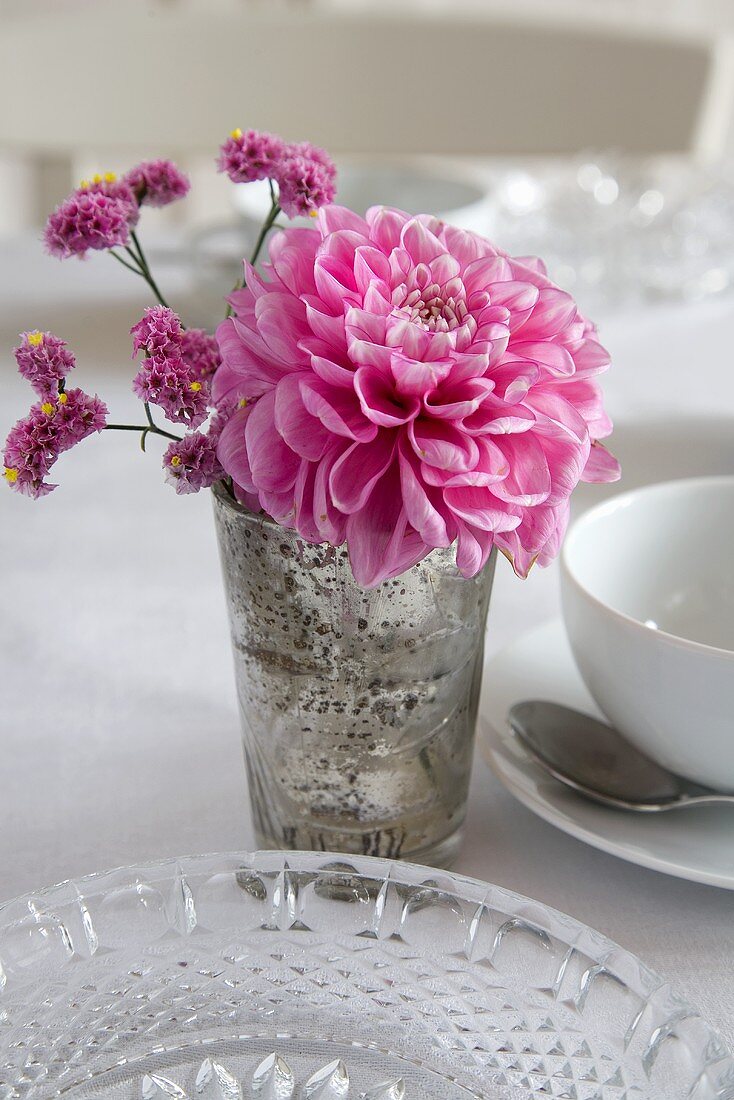 Rosa Dahlienblüte als Tischdeko