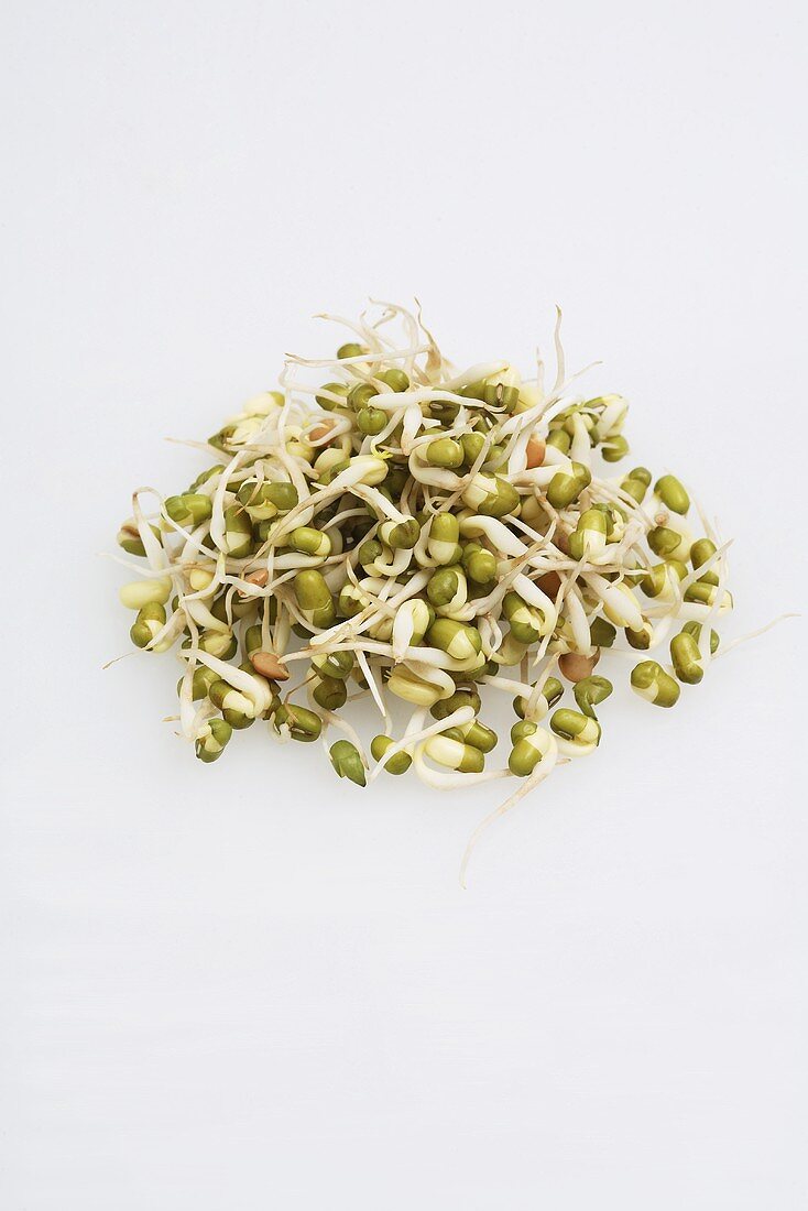 Bunch of Bean Sprouts on a White Background