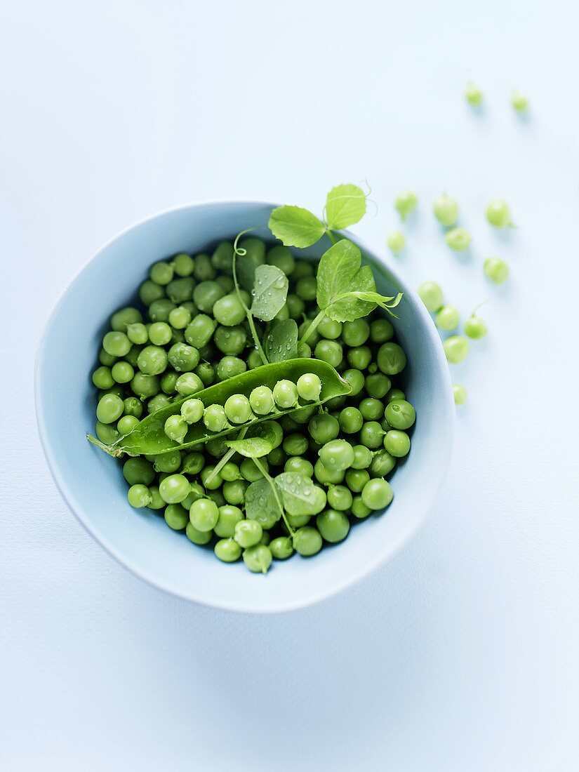 Fresh peas in pale blue dish from above