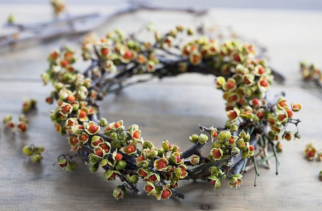 Wreath of staff vine berries