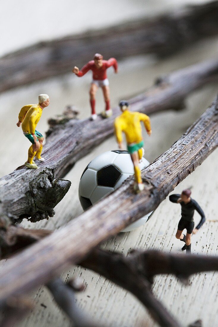 Toy football players on twigs