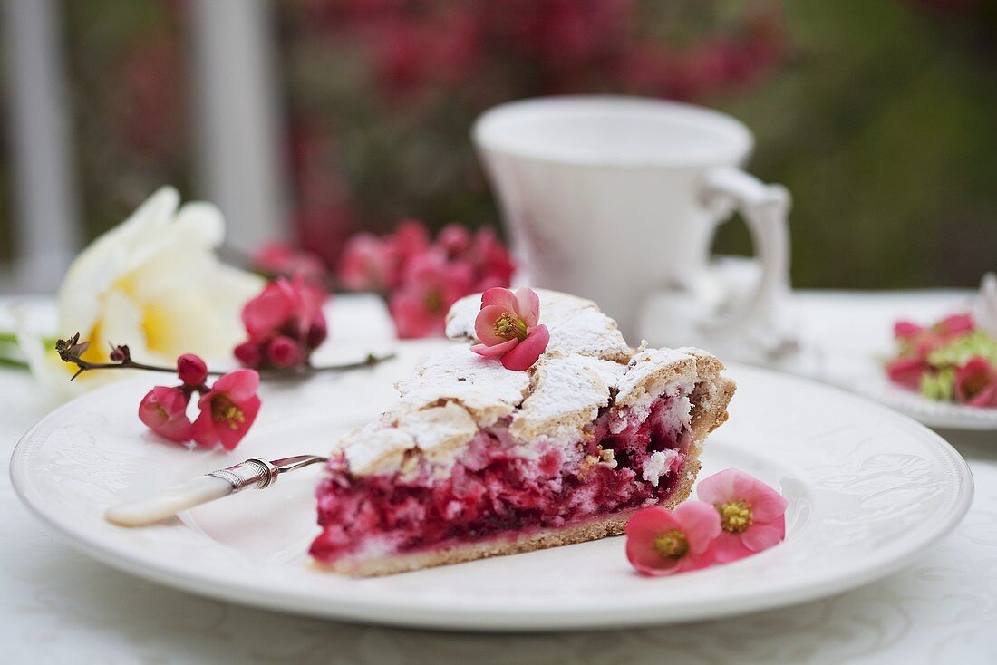 Piece of redcurrant tart on garden table