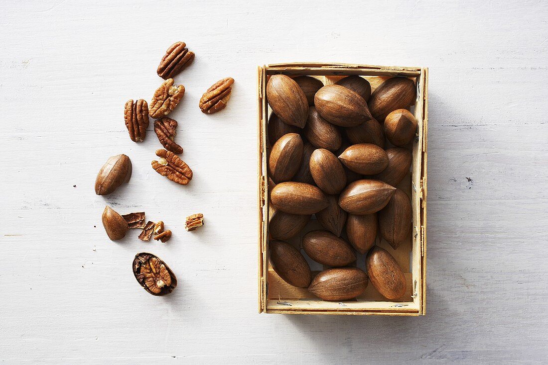 Pecan nuts, shelled and unshelled