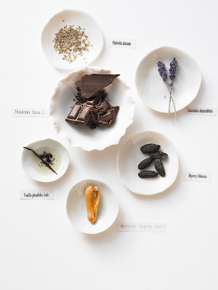 Aromen: Schokolade, Anis, Lavendel, Tonkabohnen, Muskatblüte, Vanille, Vanilleöl,