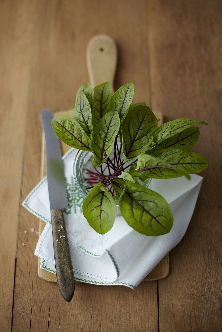 Baby chard in a jar of water on a wooden board