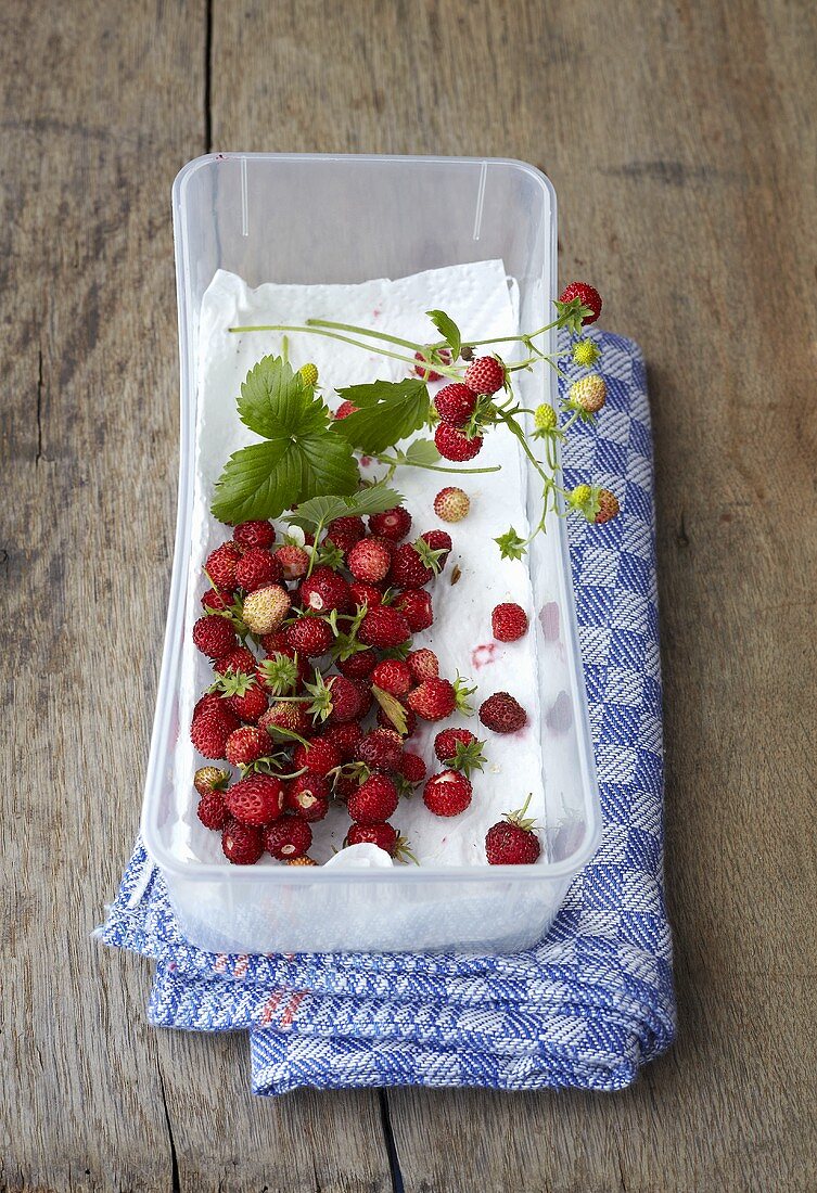 Walderdbeeren in Plastikschale