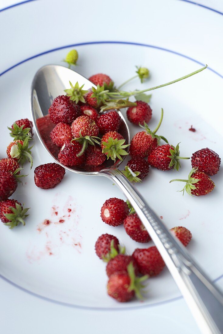 Woodland strawberries on a plate with a spoon