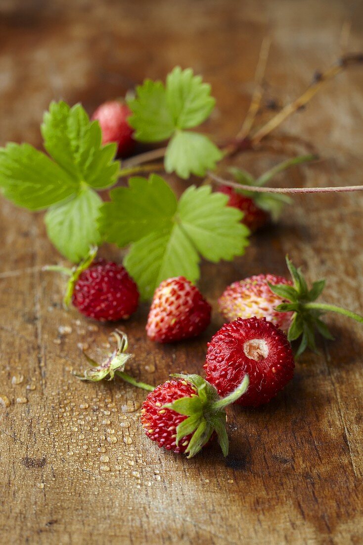 Woodland strawberries on a wooden surface