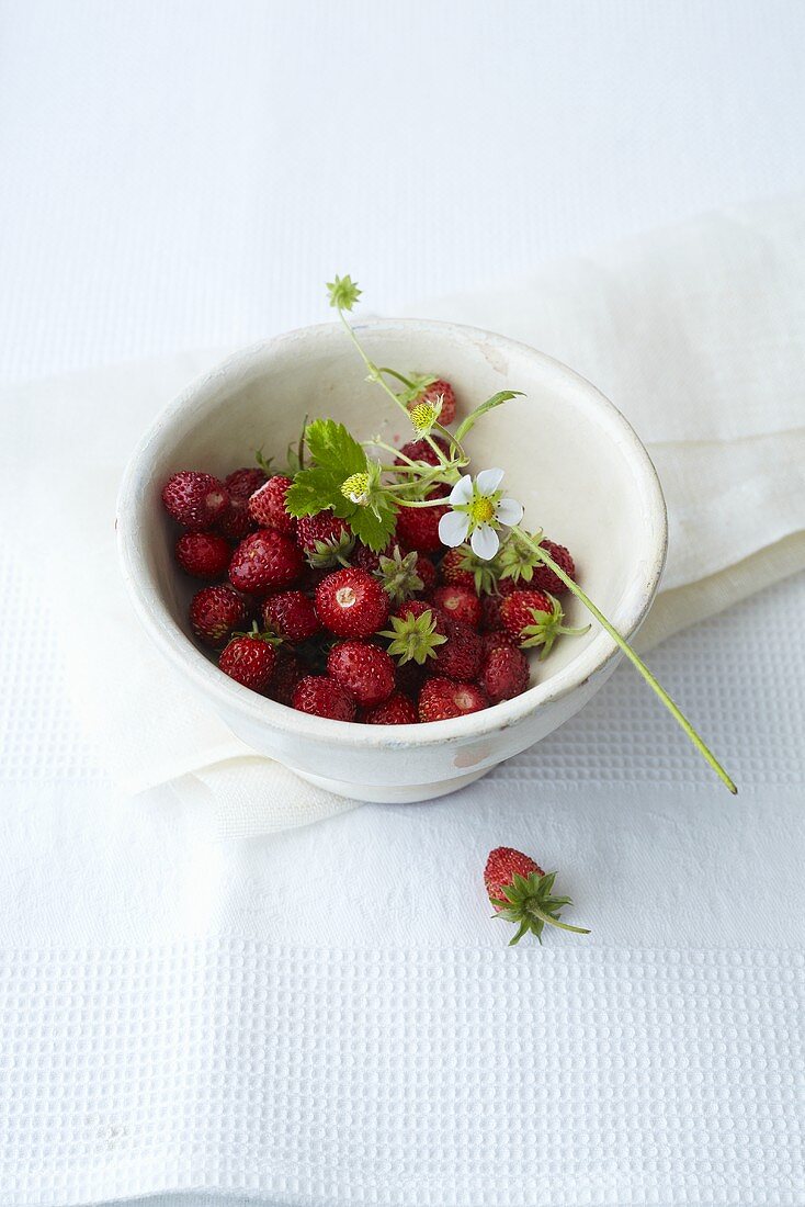 Woodland strawberries in a white bowl