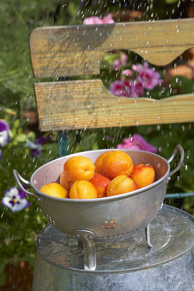 Sprinkling water over apricots in colander