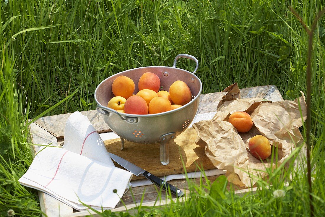 Apricots on wooden tray in grass