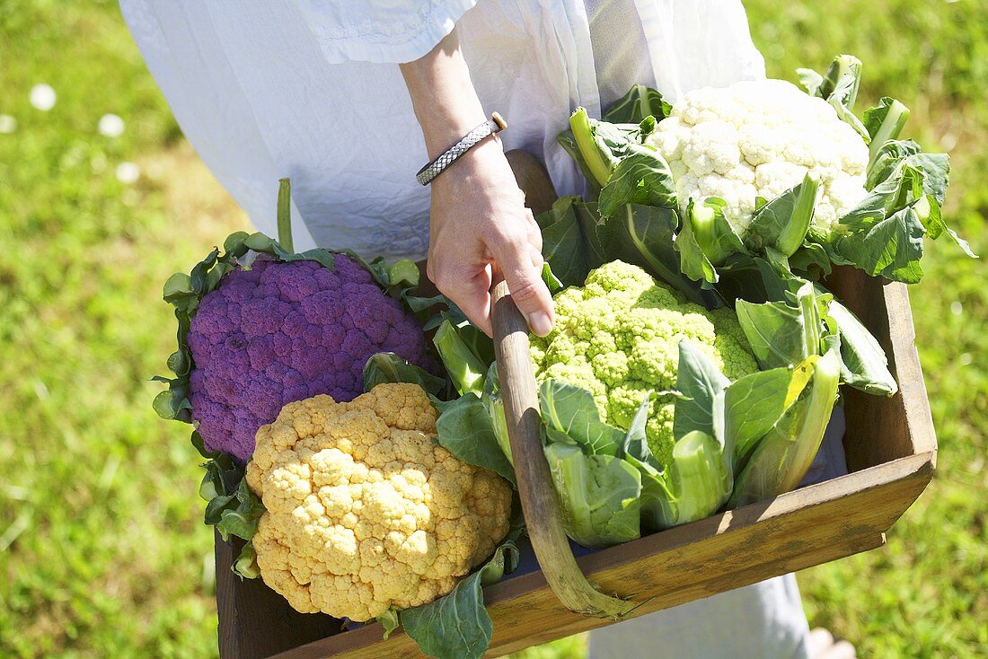 Woman carrying different coloured cauliflowers in wooden basket