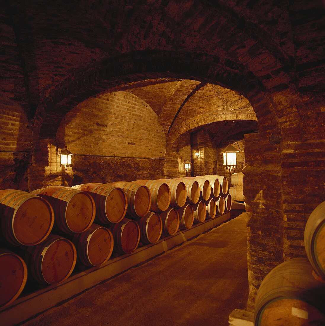 Wine cellar of Santa Rita Estate, Maipo Valley, Chile