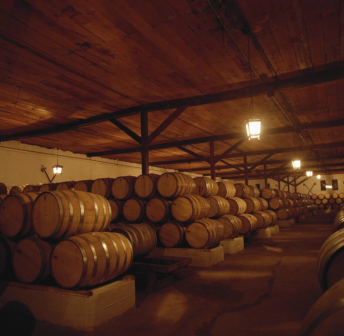 Weinkeller des Weinguts Coucha y Toro, Chile