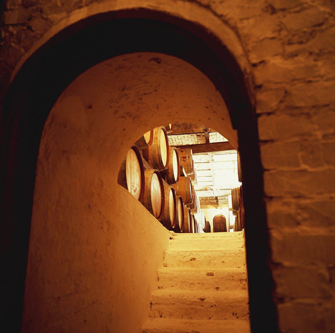 Wine cellar of Crama Urlateanu Winery, Romania