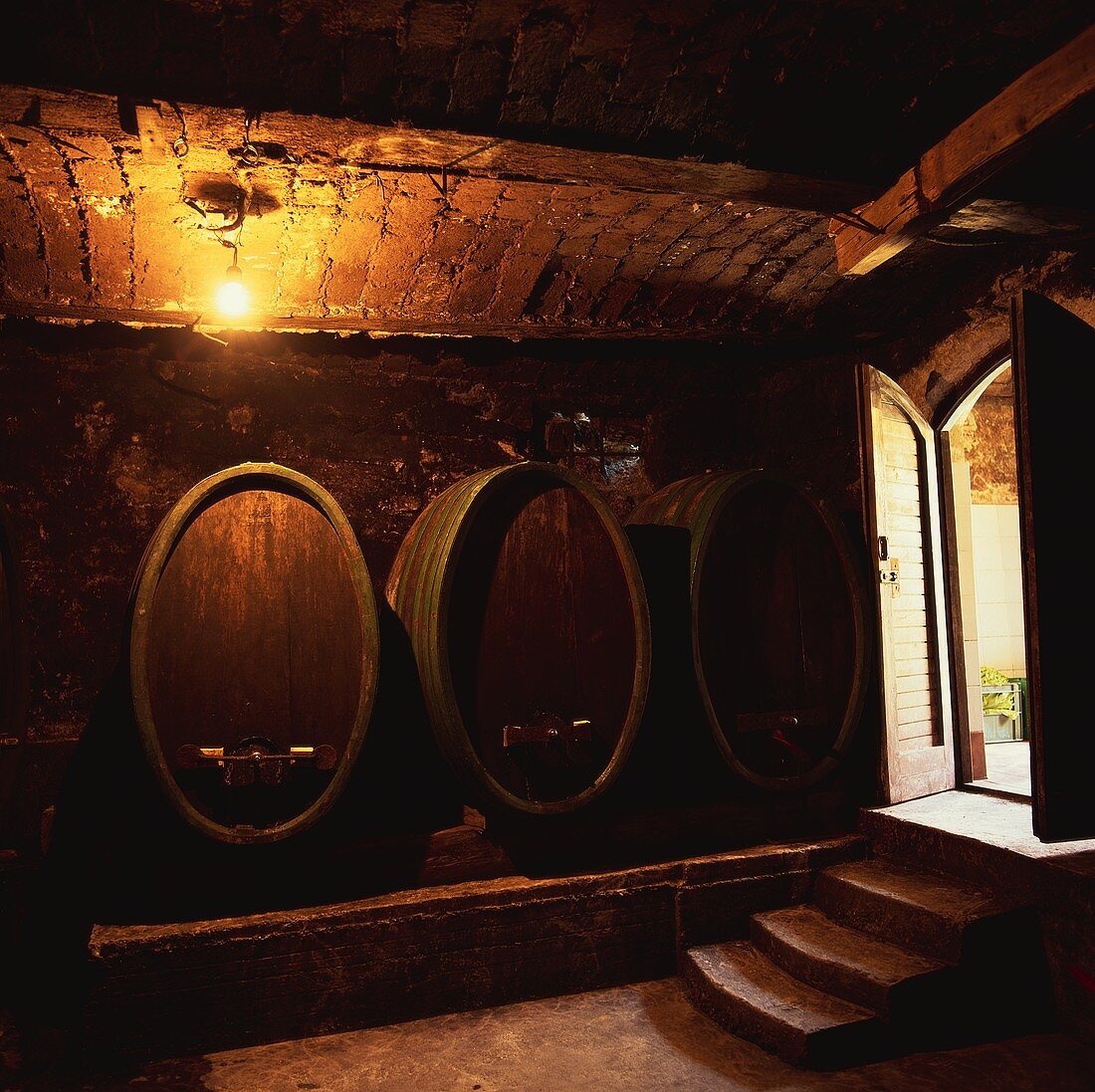 Wine barrels of the Valdhuber Wine Estate, Svecina, Slovenia