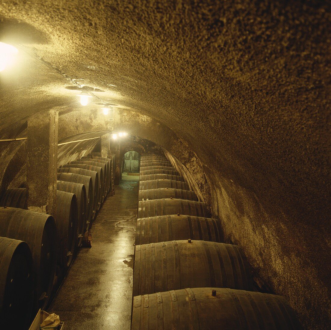 A wine cellar, Maribor, Slovenia
