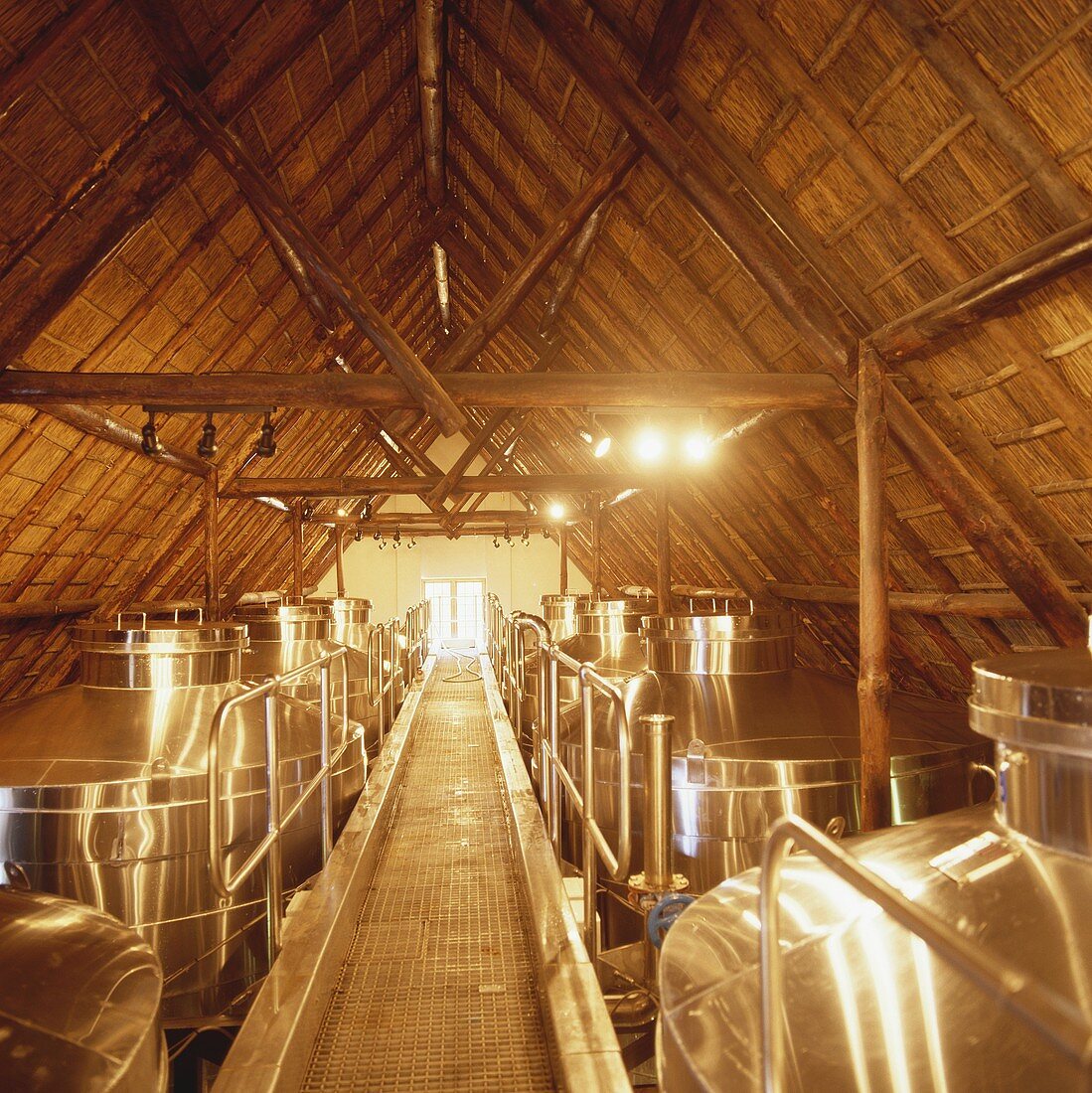 Edelstahltanks, Rustenberg Wines, Stellenbosch, Südafrika