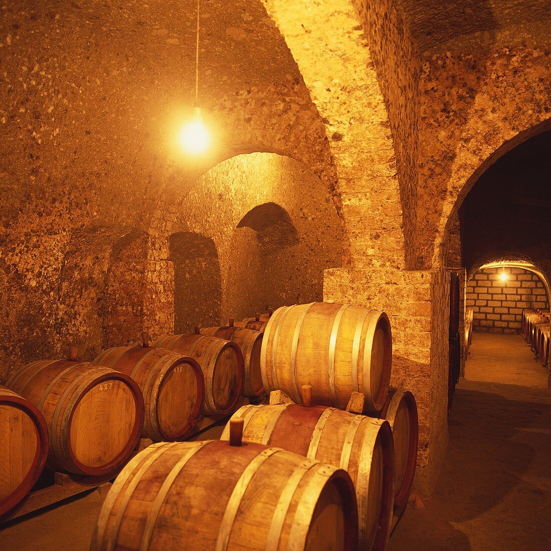 Wine cellar of Tibor Gal Winery, Eger, Tokaj, Hungary